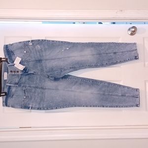 Lane Bryant Skinny leg high waist signature fit jeans/jeggings NWT